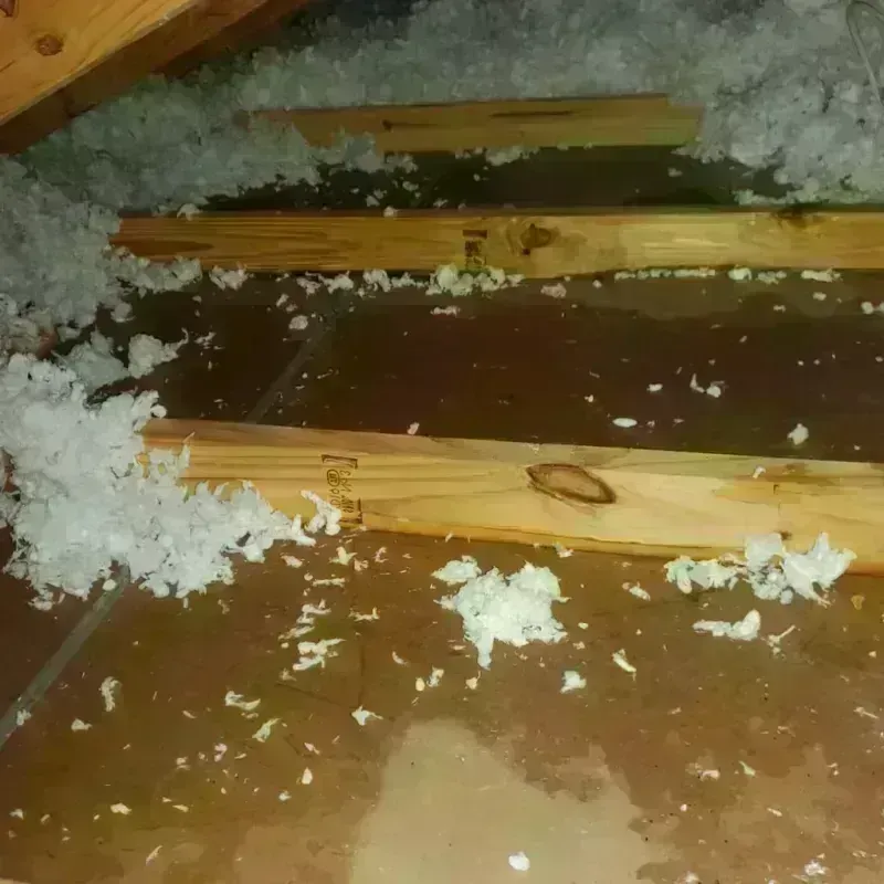 Attic Water Damage in Woonsocket, RI